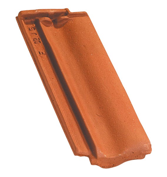1/2 tegola DELTA 10 main product photo
