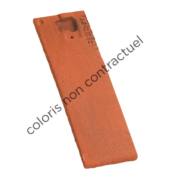 1/2 tegola Plate pressée 17x27 main product photo
